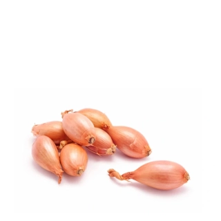 Šalotka 500 g