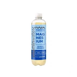 VIWA vitamínová voda Magnemax 0,6l