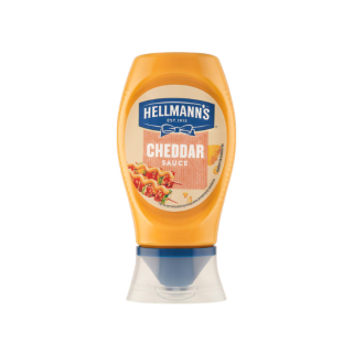 HELLMANN'S Omáčka burger 250 ml